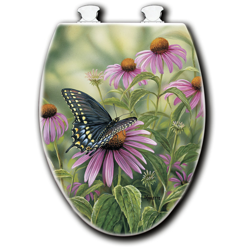 WGI GALLERY Swallowtail Butterfly Elongated Toilet Seat Wayfair